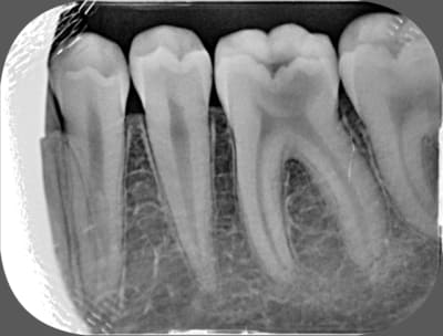 Unknown x 2013 05 15 13 49 09 3 awnj0j - Eugenol