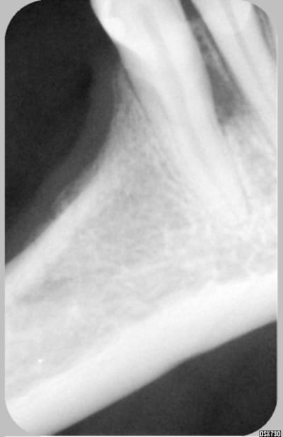 Untitled rr2sdk - Eugenol