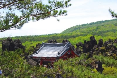 Zbt  13  irljjs - Eugenol