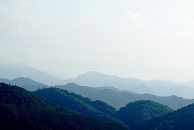 Zbt  2  dbjz4r - Eugenol