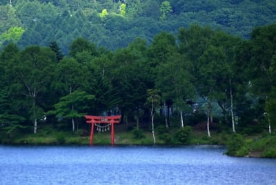 Zbt  3  axrwqj - Eugenol