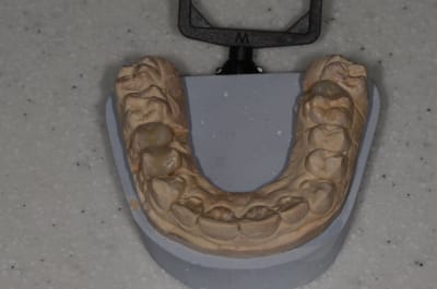  dsc1693 dygnlx - Eugenol