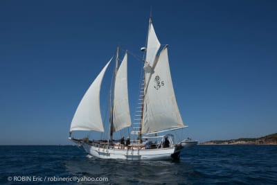  h8b8131 2021 08 29 1000pix 1 wfx69t - Eugenol