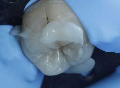  mg 7810 001 webtyp - Eugenol