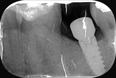 Abuvm3fwky4wkc4j3mk6smsviblq - Eugenol