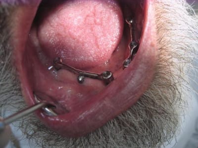 Ackerman di2r7n - Eugenol