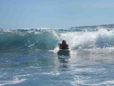 Bodyboard lrojti - Eugenol