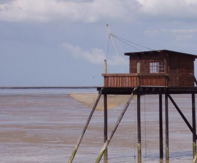 Cabanne igvv6i - Eugenol