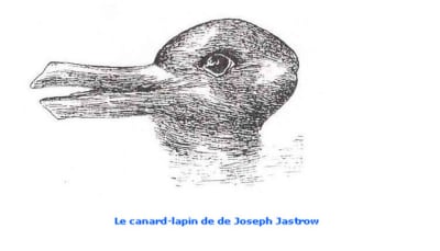 Canard lapin fqlonu - Eugenol