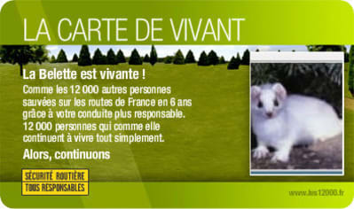 Cartedevivant la belette offwip - Eugenol