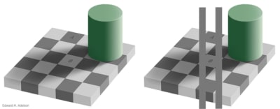 Checkershadow double med ebimmz - Eugenol