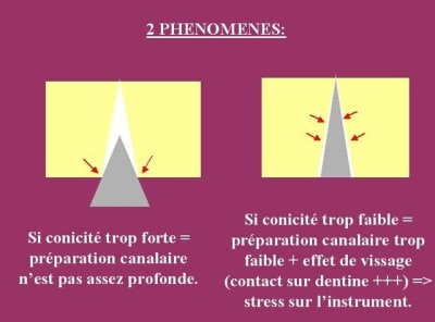 Conicité constante mjtedu - Eugenol