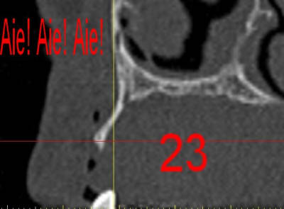 Dar23 ts4djh - Eugenol