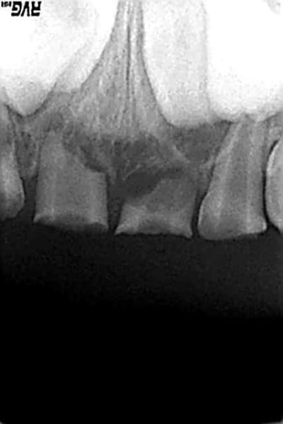 Dec2005 hzxjpq - Eugenol