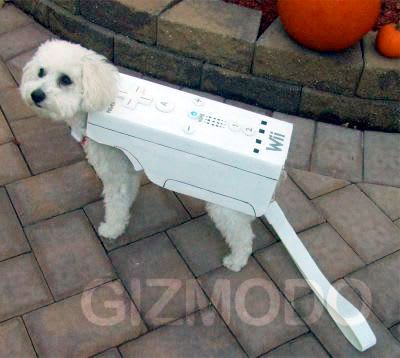 Devinette syjkrd - Eugenol