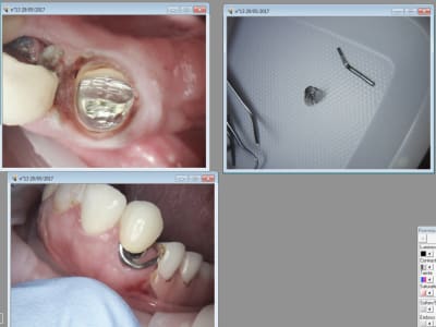 F0dppufrof9vt6aqxrry - Eugenol