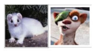 Fiancailles ocxy2y - Eugenol