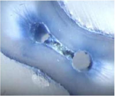 Fig2 zojawh - Eugenol