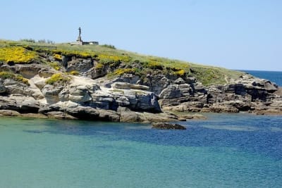 Hal1 lebmre - Eugenol