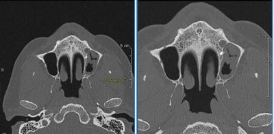 Image002 zvcmaq - Eugenol