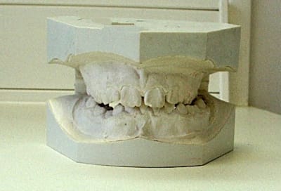 Initialface chpl75 - Eugenol