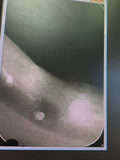 J0iugfmrctffpewscclh - Eugenol