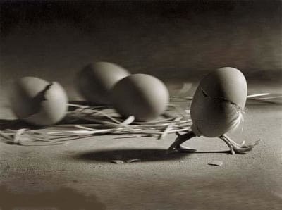 Je me casse pmvumt - Eugenol