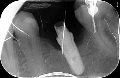 Jqmdlqkt2radoe1eyxbo8xomew3e - Eugenol