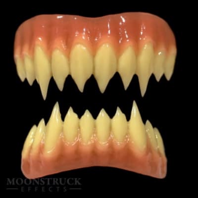 Kalfou teeth small x05smj - Eugenol
