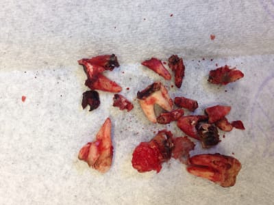 Kyytfsvlmdf2omzti8dd - Eugenol