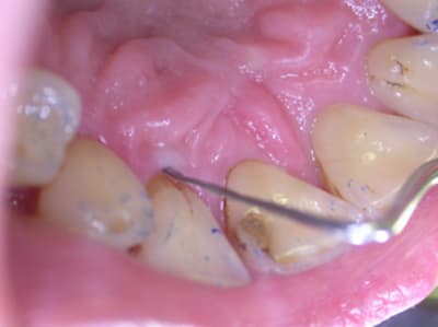 Madame t8atb gu8vjq - Eugenol
