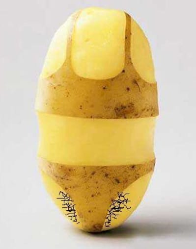 Miss portugal qjilxr - Eugenol