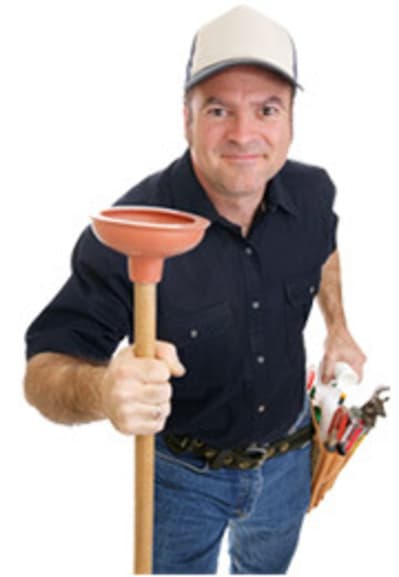 Mooncup pucusk - Eugenol