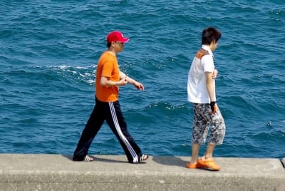 Ndch  12  koegb2 - Eugenol