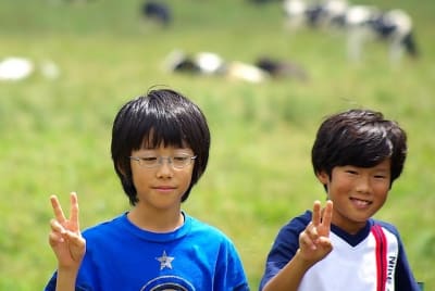 Ndch  5  ddawmo - Eugenol