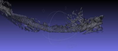 Ndi46 tkfeng - Eugenol