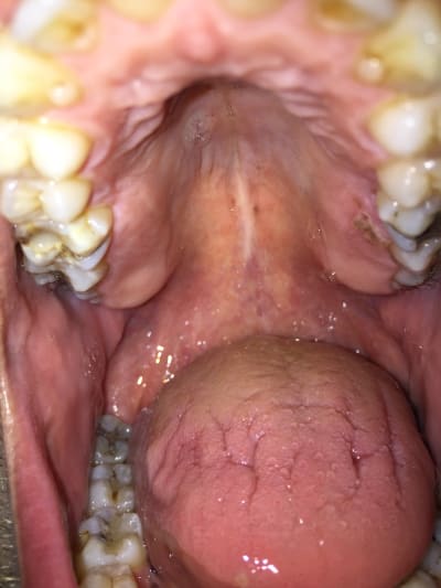 Nyejz8tnhjbfglpva4me - Eugenol