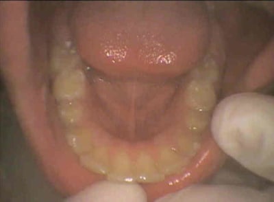 Odf1 law55b - Eugenol