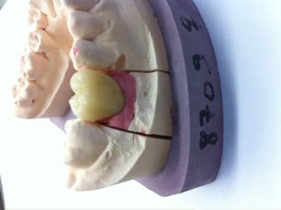 Photo 5 jple7f - Eugenol