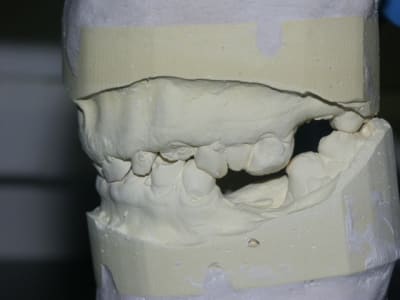 Pict0255 izqdp1 - Eugenol