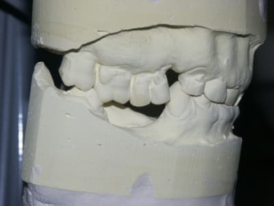 Pict0256 dlys9z - Eugenol