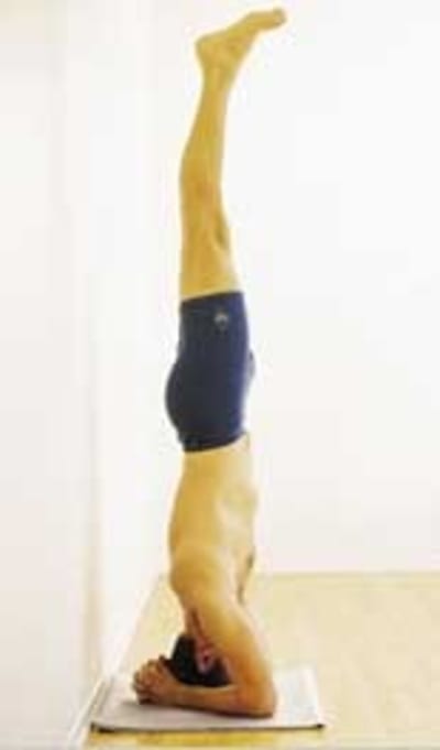 Salamba 20sirsasana jd4loo - Eugenol