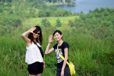 Sbkg  10  cpstcu - Eugenol