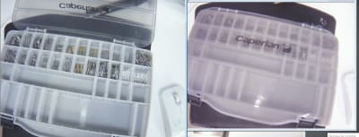 Stock fraises hci6hi - Eugenol