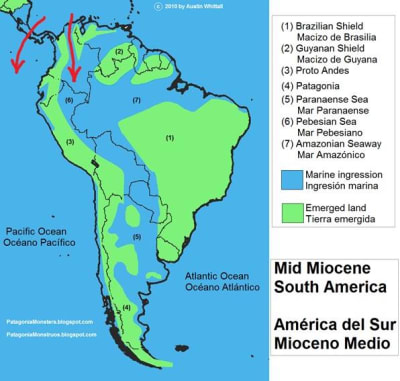 Sudamerica miocene r8sm4b - Eugenol