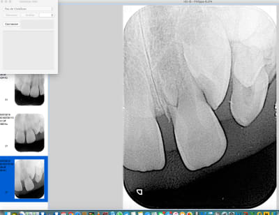 Tbghjwyq2luiagvi2tta - Eugenol