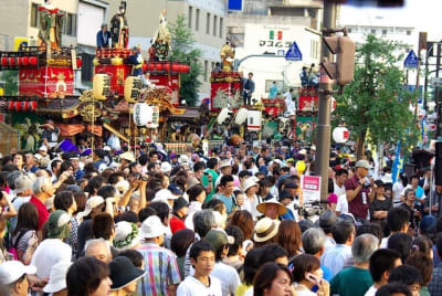 Tksk  123  ilea4u - Eugenol