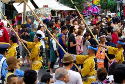 Tksk  198  msqbcc - Eugenol