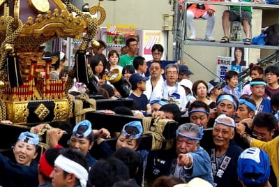 Tksk  219  abg5wj - Eugenol