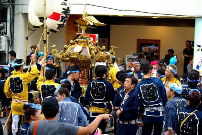 Tksk  233  sdzg2c - Eugenol